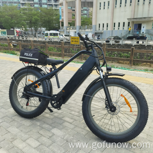 750W Lithium Battery 48V Electric Bicycle Electric Bikes